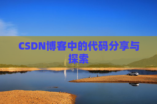 CSDN博客中的代码分享与探索